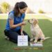 How to Choose Dog Treats for Training: The Ultimate Beginner’s Guide
