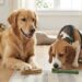 Comparing Dental Chews: Virbac C.E.T. vs. Greenies – Which is Better?